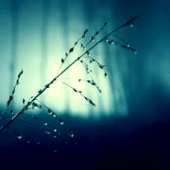 Extending Kernel Race Windows Using '/dev/shm'